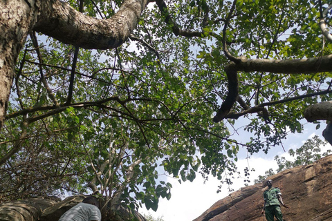 From Accra: Shia Hills Safari, Boat Cruise & Cocoa Farm Tour