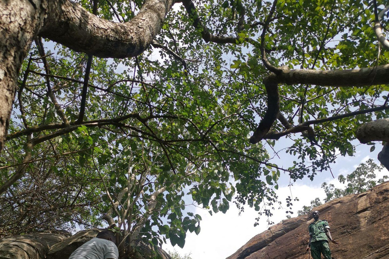 From Accra: Shia Hills Safari, Boat Cruise & Cocoa Farm Tour