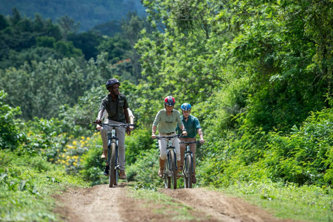 From Arusha: Arusha National Park Family Cycling Safari