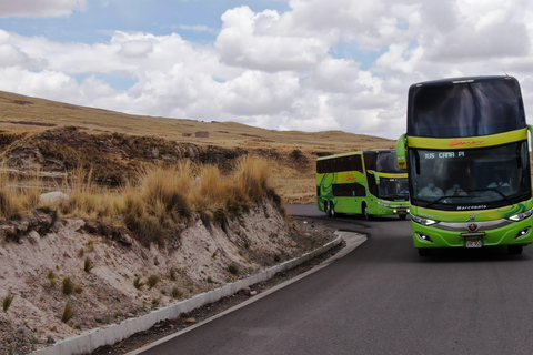 Bus Cama Directo Puno Cusco