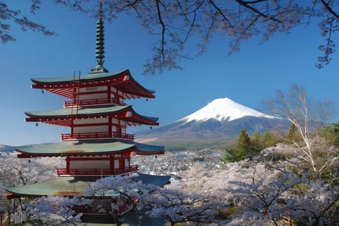 From Tokyo: Private Mount Fuji Tour with 2 Itinerary Options - Image 2