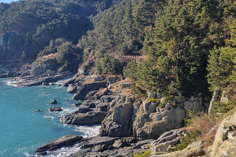 Busan Igidae Coastal Walk & Korean Pancake Experience Wednesday Afternoon Schedule (2 PM Start)