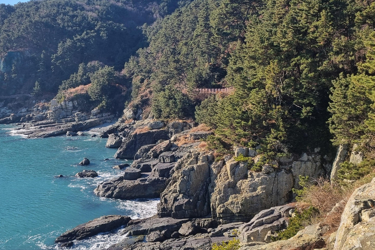 Busan Igidae Coastal Walk & Korean Pancake Experience Wednesday Afternoon Schedule (2 PM Start)