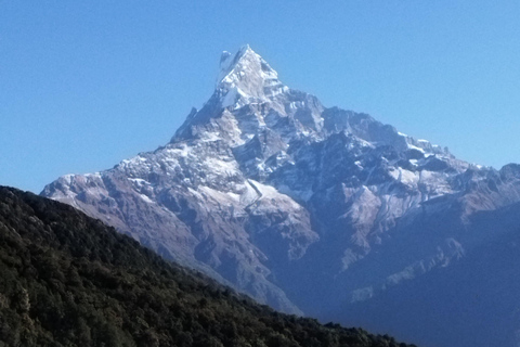 4 Day Mardi Himal Trek with 2 Day Chitwan Jungle Safari Tour