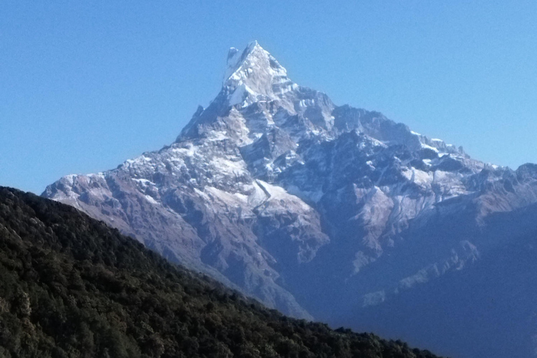 4 Day Mardi Himal Trek with 2 Day Chitwan Jungle Safari Tour