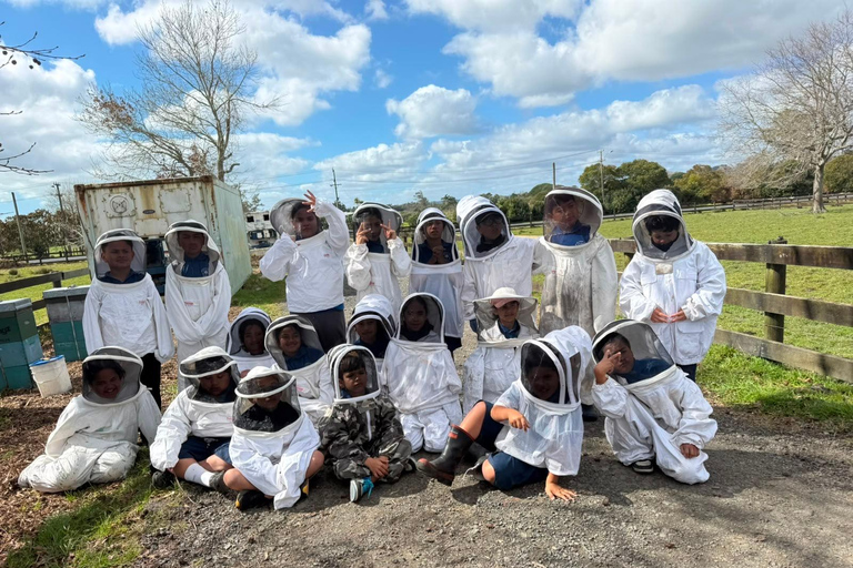 Auckland: Hands-On Beekeeping Experience with Gear