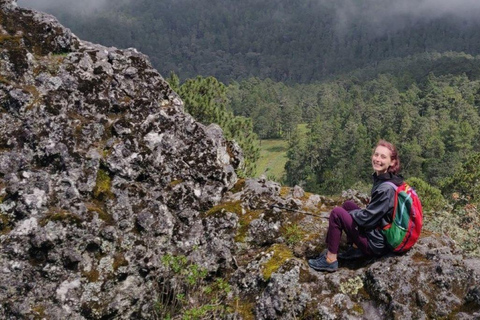 Oaxaca: Hiking in the Mushroom Forest of Cuajimoloyas