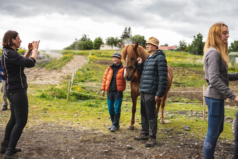 Reykholt: Icelandic Horses & Stable Visit