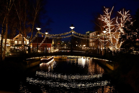 Gothenburg: Guided Walking Tour in Ukrainian