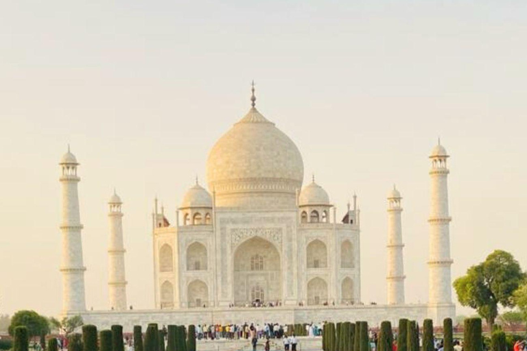 Delhi: Airport to Airport Layover Taj Mahal City Tour By Car Car + Tour Guide