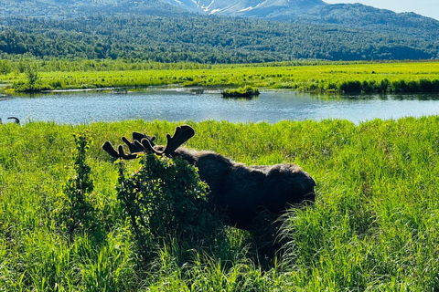 Seward to Anchorage Scenic Tour with Airport drop-off