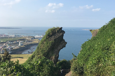 Desde Jeju: excursión a sitios de la UNESCO