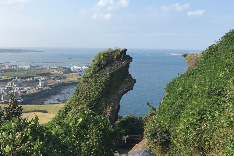 Desde Jeju: excursión a sitios de la UNESCO
