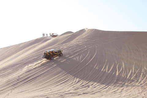Private tour to Ballestas Islands, Hacienda Caravedo, and sunset in Huacachina