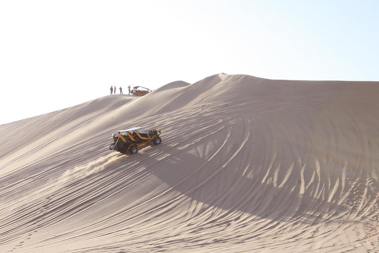 Private tour to Ballestas Islands, Hacienda Caravedo, and sunset in Huacachina