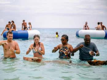 Nassau: Porcos nadadores do táxi aquático Rose Island Express