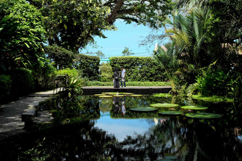 Penang: Tropical Spice Garden Entry Ticket with Audio Guide