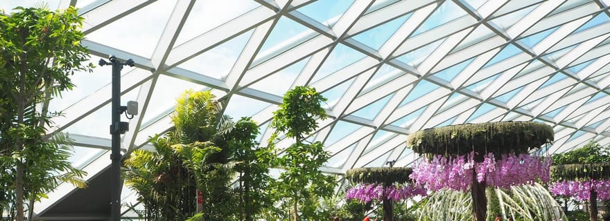 Aéroport Jewel Changi : Billet pour le labyrinthe et le parc à baldaquin