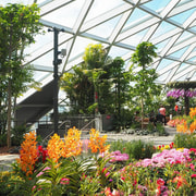 Jewel Changi Airport: Hedge Maze and Canopy Park Ticket