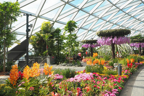 Aeroporto Jewel Changi: Labirinto de Hedge e Ingresso para o Parque Canopy