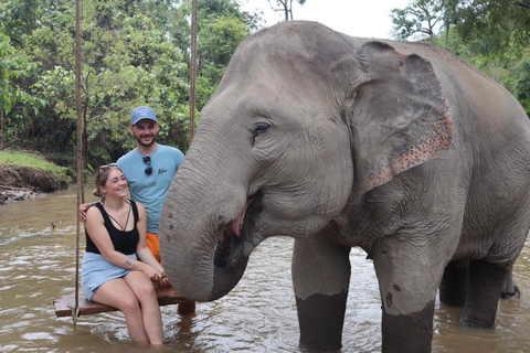 Chiang Mai: Santuario degli elefanti, cascata e tour di raftingServizio di prelievo in hotel