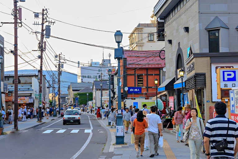 From Sapporo: Private Customized Day Tour to Otaru