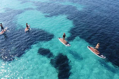 Golfo Aranci tour SUP Paddleboard Dolphin watching