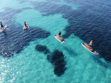 Golfo Aranci Tour Delphin SUP Paddleboard Aperitif-Frühstück