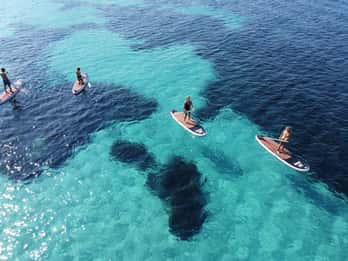 Golfo Aranci tour SUP Paddleboard Dolphin watching, aperitif