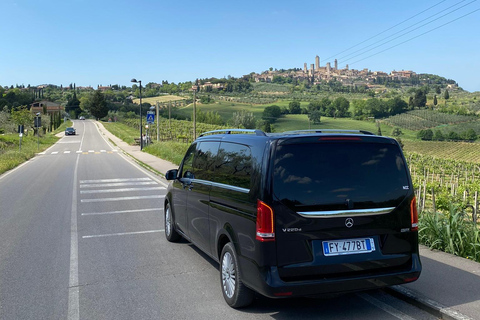 Tasting in a Vineyard with transfer from Pisa