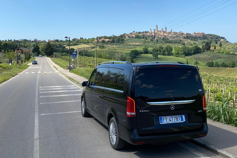 Tour de vinhos da Toscana de ônibus saindo de Lucca