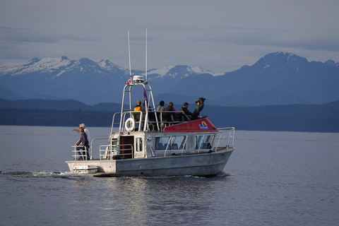 Campbell River: Spring Bear Watching & Waterfalls Boat Tour