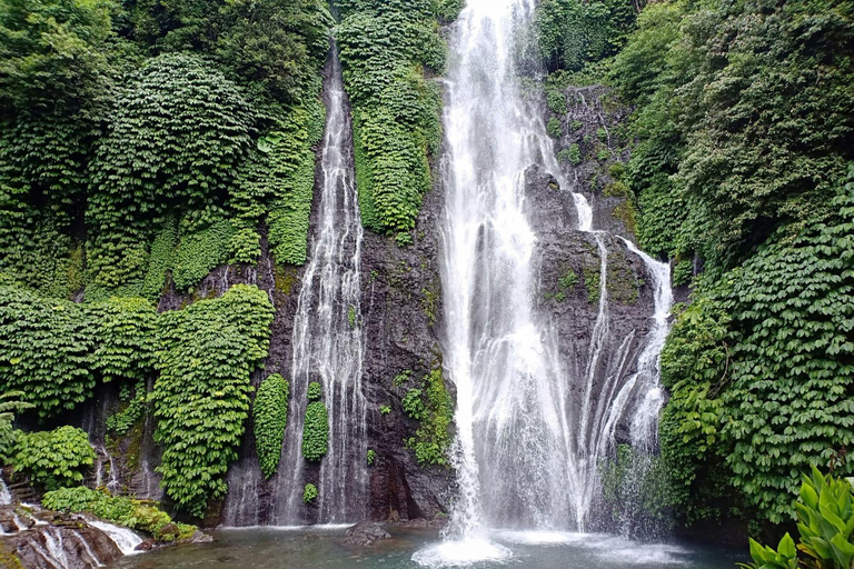 Bali: North Bali Tour with Waterfall, Vihara, and Hot Spring