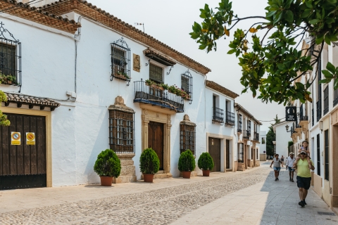 From Seville: Pueblos Blancos and Ronda Full-Day Trip Pueblos Blancos and Ronda: Full-Day Tour from Seville