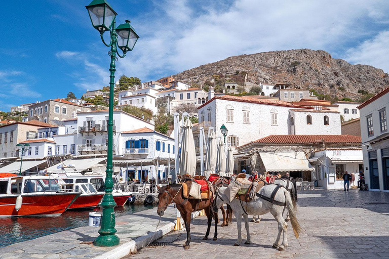 De Atenas: Viagem de 1 dia à Ilha de HydraExcursão privada à Ilha de Hydra a partir de Atenas