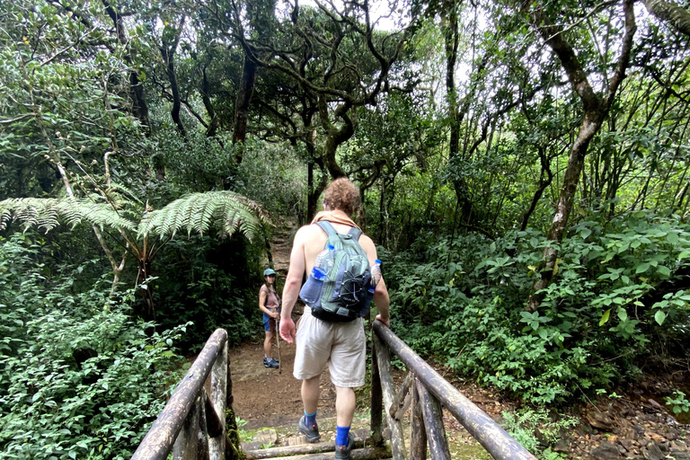 Tedo 7 Waterfalls Peak Adventure – Knuckles Mountain Range