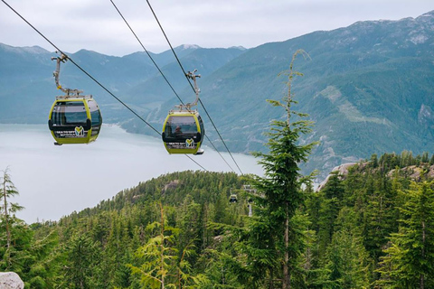 Vancouver: Sea-To-Sky half-day tour, Gondola & luggage