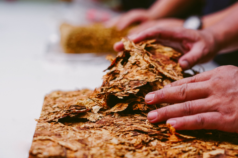 Punta Cana: Excursion to Higuey, Basilica, tobacco factory, and local market