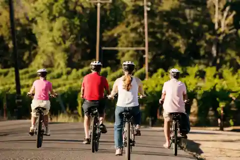 Healdsburg: Guided Electric Bike Wine Tour with Winery Stops