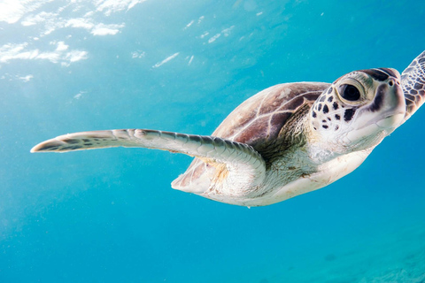 Antalya: Waterfall Diving & Snorkeling with Lunch & Transfer