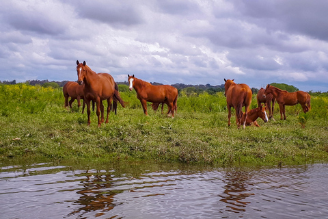 Valada: 1 hour boat trip, guided tour