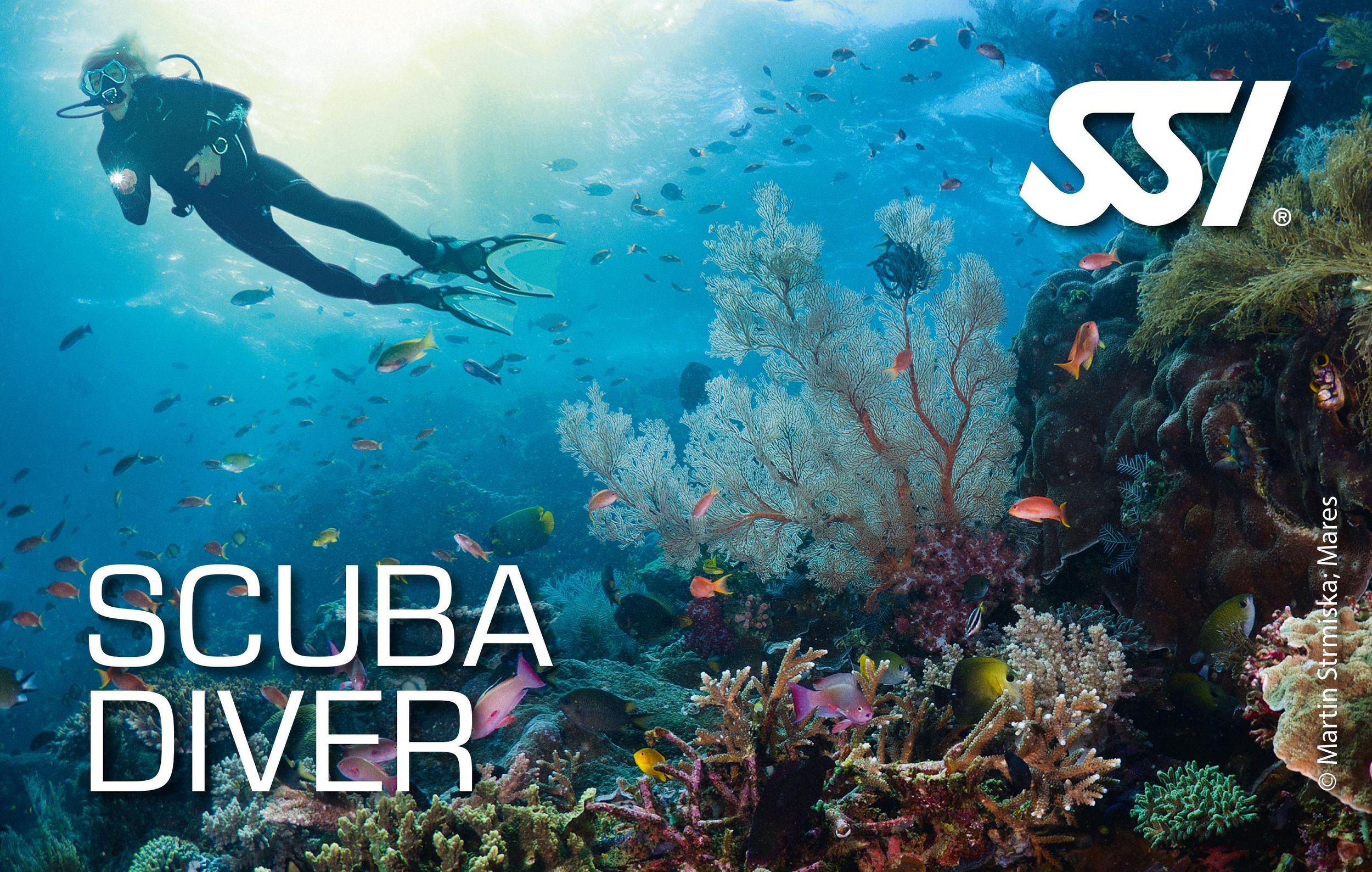 SSI Scuba Diver Tauchkurs auf Mallorca – 1 Tag