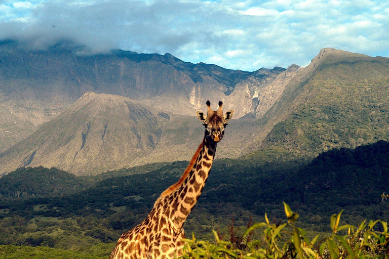 Arusha : safari de 6 jours en Tanzanie avec 2 nuits dans le SerengetiArusha : Safari de 6 jours en Tanzanie avec 2 nuits dans le Serengeti