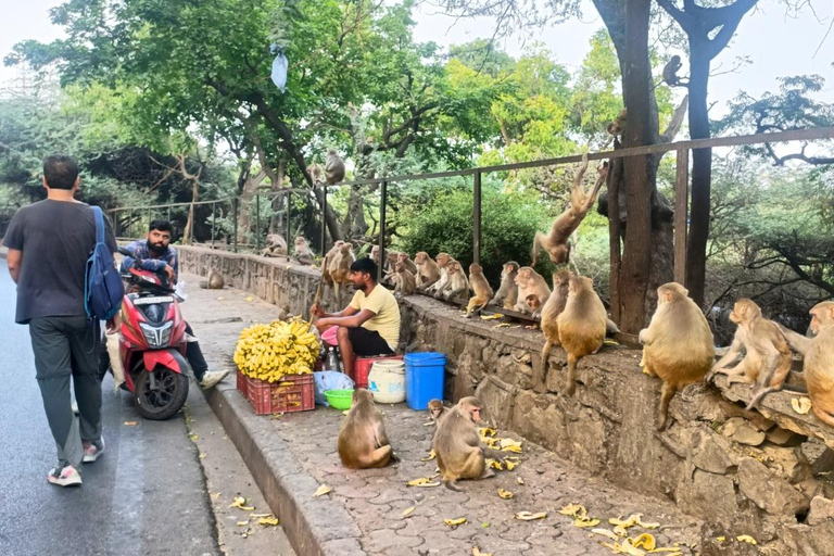 Delhi: Northern Ridge Walk with Tibetan Colony Tour