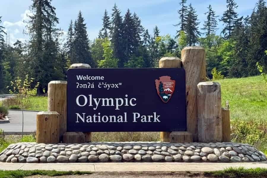 Hin- und Rückfahrt ab Seattle: Tagestour im Olympic-Nationalpark. Foto: GetYourGuide Hin- und Rückfahrt ab Seattle: Tagestour im Olympic-Nationalpark. Foto: GetYourGuide