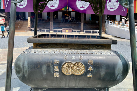 Kyoto: Tour Privado Cultural e Histórico en Español