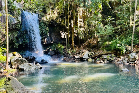 Från Brisbane: Tamborine, Dessert Sunset och Star-Gazing Tour