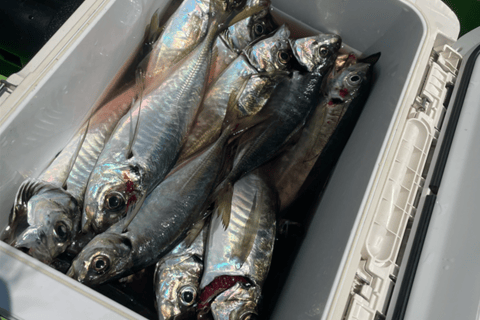 Tokyo: Fishing Adventure & Japanese Cuisine with Your Catch