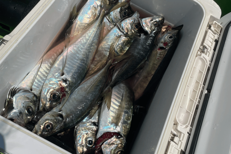 Tokyo: Fishing Adventure & Japanese Cuisine with Your Catch