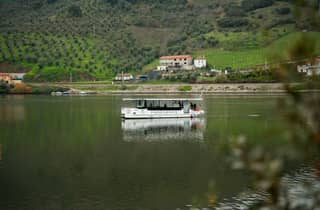 Douro-Tal: Kleingruppen-Weintour mit Bootsfahrt und Mittagessen